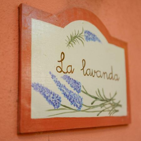 Homeforguest Cosy Rural Flat La Lavanda Surrounded By Nature Tacoronte Ngoại thất bức ảnh