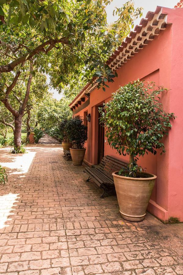 Homeforguest Cosy Rural Flat La Lavanda Surrounded By Nature Tacoronte Ngoại thất bức ảnh