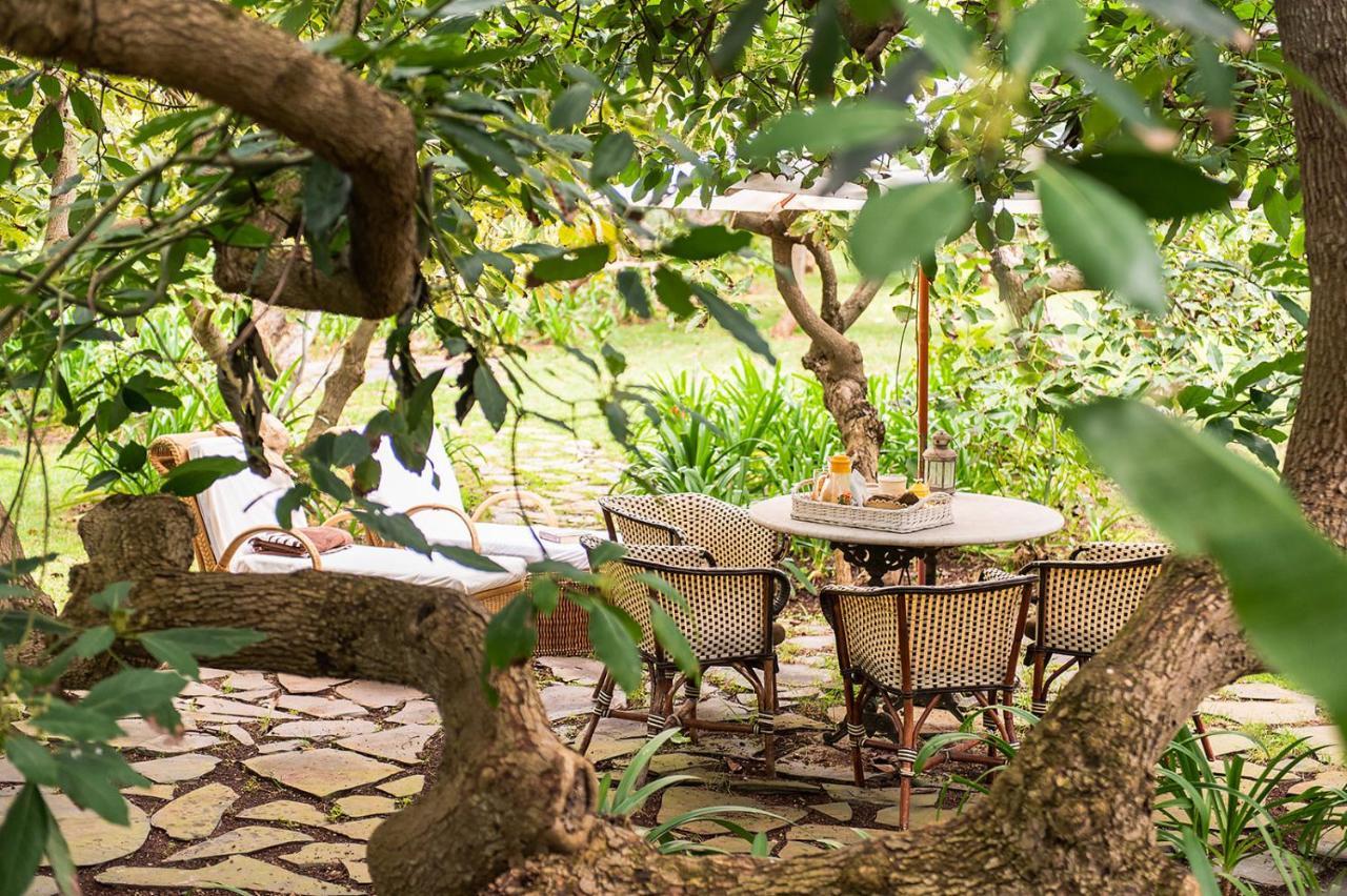 Homeforguest Cosy Rural Flat La Lavanda Surrounded By Nature Tacoronte Ngoại thất bức ảnh