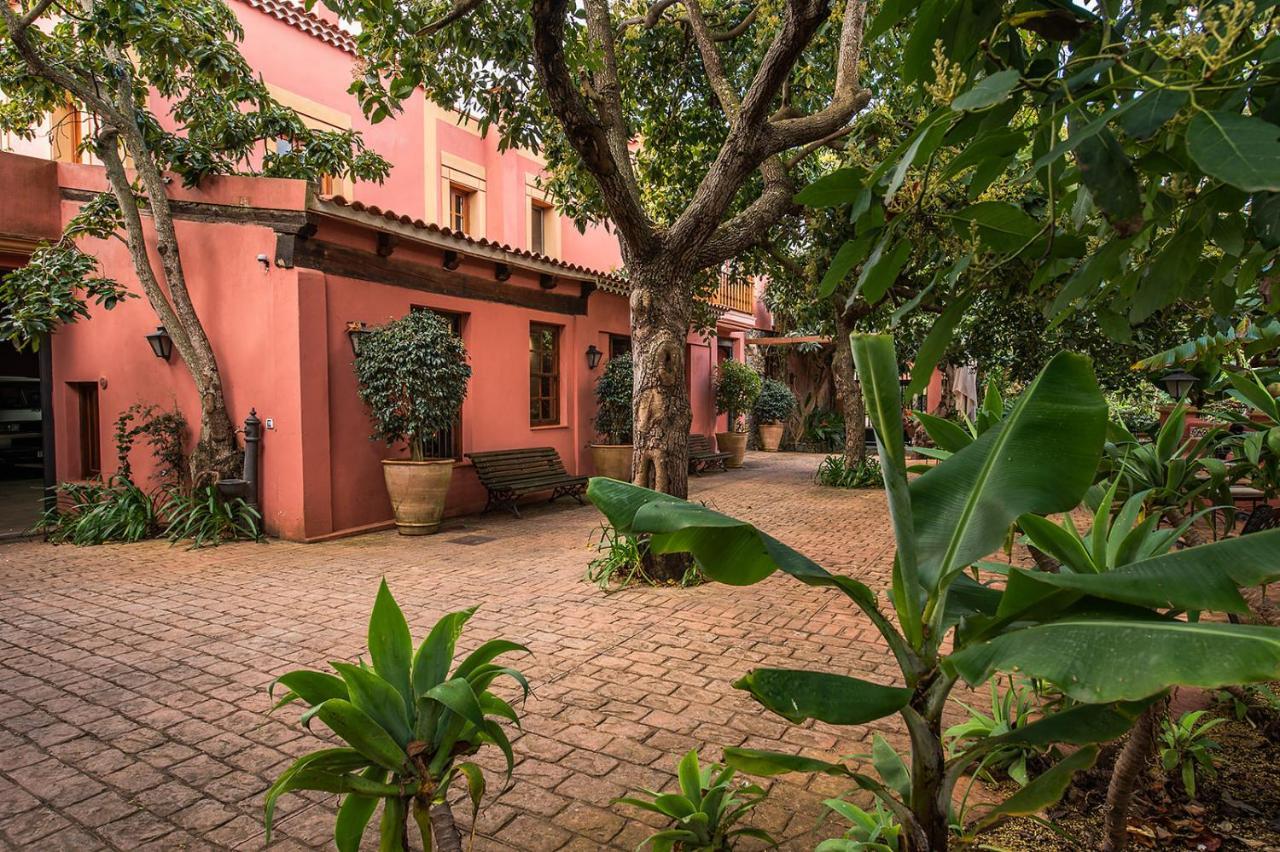 Homeforguest Cosy Rural Flat La Lavanda Surrounded By Nature Tacoronte Ngoại thất bức ảnh