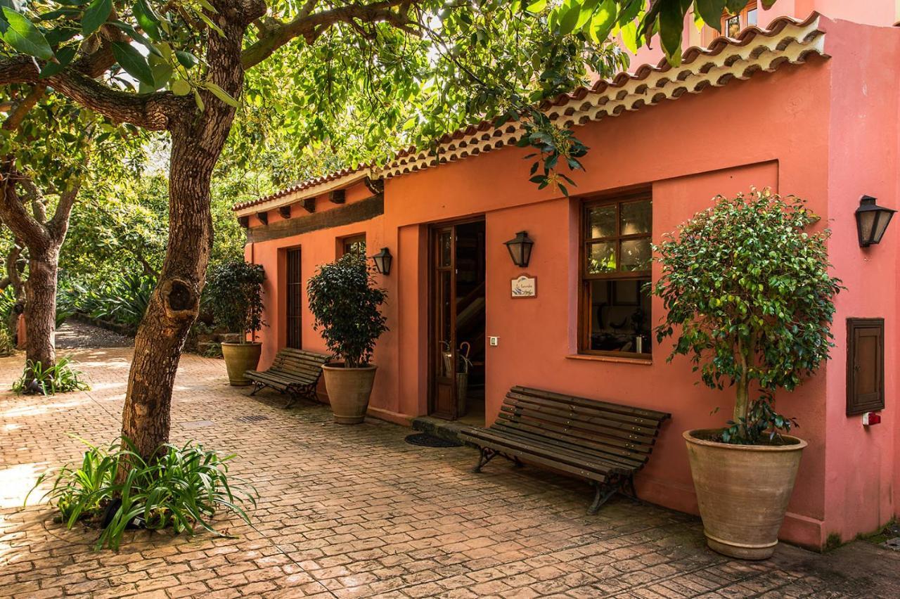 Homeforguest Cosy Rural Flat La Lavanda Surrounded By Nature Tacoronte Ngoại thất bức ảnh