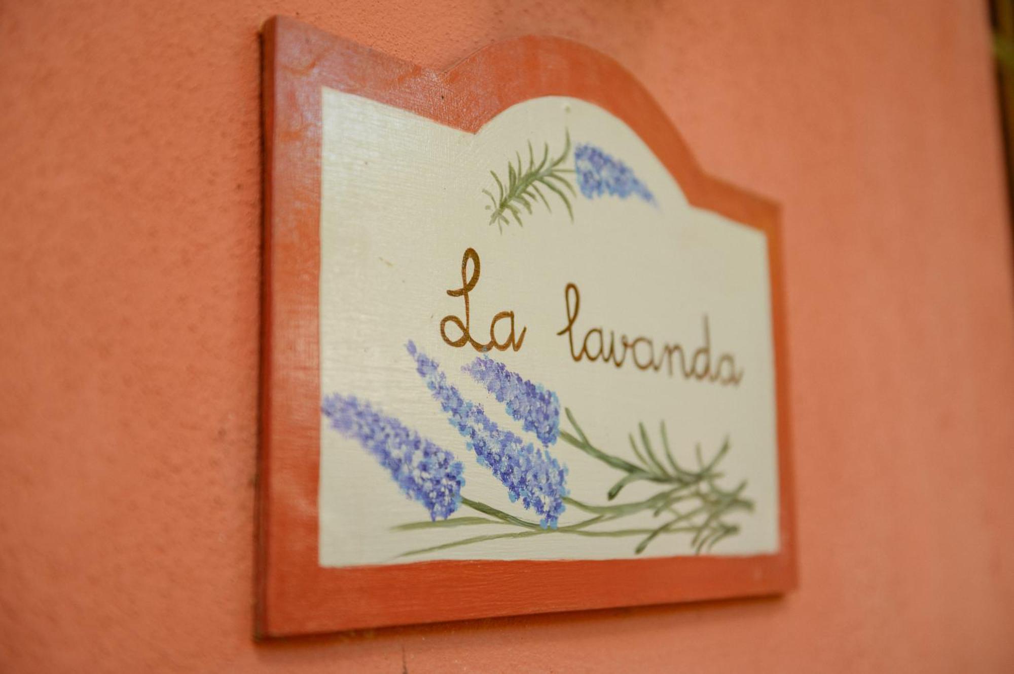 Homeforguest Cosy Rural Flat La Lavanda Surrounded By Nature Tacoronte Ngoại thất bức ảnh