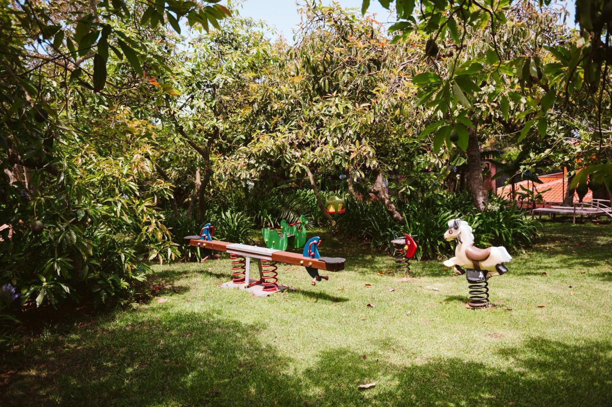 Homeforguest Cosy Rural Flat La Lavanda Surrounded By Nature Tacoronte Ngoại thất bức ảnh